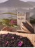 Schwarztee China Rosentee Hua Cha - nat�rlich aromatisiert
