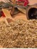 oregano-0018_medium.jpg