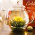 *NEU* Glaskanne "Erbl�htee" - 500 ml
