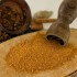 510071_curry_rendang_medium.jpg
