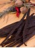 vanille-0031_medium.jpg
