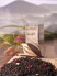 Schwarztee Amaretto - mit nat�rlichem Aroma