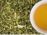 KT Moringa