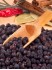 wachholderbeeren-0033_medium.jpg