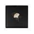 *NEU* Dose "Ginkgo"