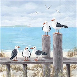 831170_servietten_ambiente_seagulls_on_the_dock_thumb.jpg 831170_servietten_ambiente_seagulls_on_the_dock_thumb.jpg