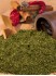 kraeuterbutter-0126_medium.jpg