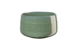 890455-moribana-matsu_shiny_thumb.jpg