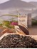 Schwarztee Darjeeling Margaret�s Hope - second flush FTGFOP - naturbelassener schwarzer Tee