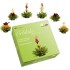 Gr�ner Tee Erbl�h-Tee-Set von Creano