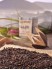 Schwarztee Five o�clock Tea - naturbelassene Teemischung