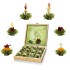 Gr�ner Erbl�htee in Holzbox - 12er Set