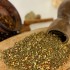 510011_al_arrabiata_medium.jpg