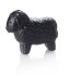 710009_schwarzes_schaf_medium.jpg