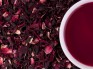 hibiskus-1028-2_medium.jpg