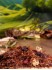 Lapachotee Vanille-Kirsch - mit nat�rlichem Aroma