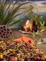 Gr�ner Matetee Wildkirsche - mit nat�rlichem Aroma
