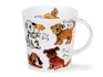 893428_dunoon_cairngorm_a_dog_s_life_medium.jpg