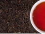 stearlymorning-1753-2_medium.jpg