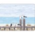 818170_tischset_ambiente_seagulls_on_the_dock.jpg