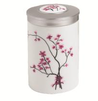 Porzellandose Cherry Blossom