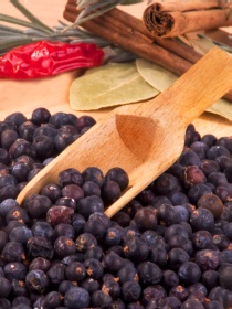 wachholderbeeren-0033_thumb.jpg